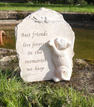 Load image into Gallery viewer, Beloved cat resin memorial plaque, best friends live forever...

